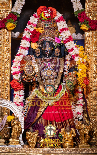 Idol of Hindu deity Krishna in crimson red (dull purple border) dressed as Lakshmee, standing on a gold covered pedestal, hands in blessing pose; wearing gold palm coverings, a stone-studded crown, and lots of gold ornaments. A string of white flowers (thin red bands) around Krishna. A string of jasmine flowers around Krishna's waist. An ornate gold arch behind Krishna (only the sides are partially visible). A string of white and red flowers seen at the top of the arch. Some smaller idols on the pedestal.