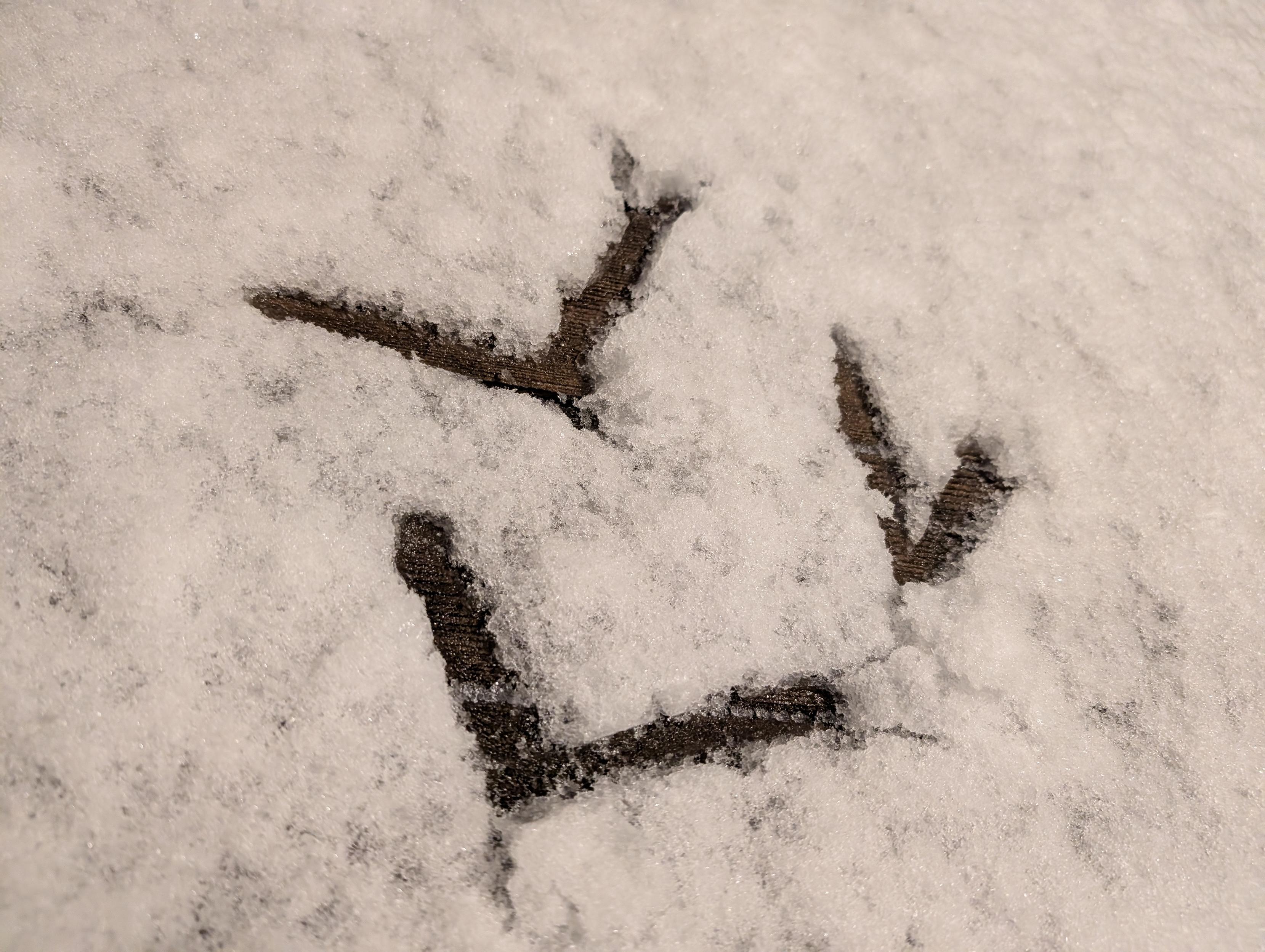 Three angles in the snow - a thin one, 90 degrees, and a wide one