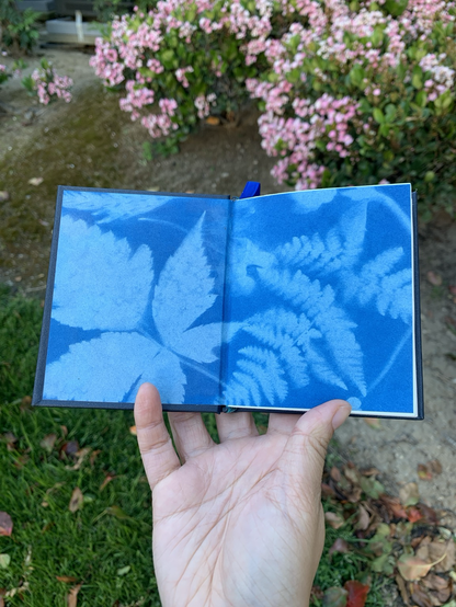 Open book showing blue endpapers patterned with leaves