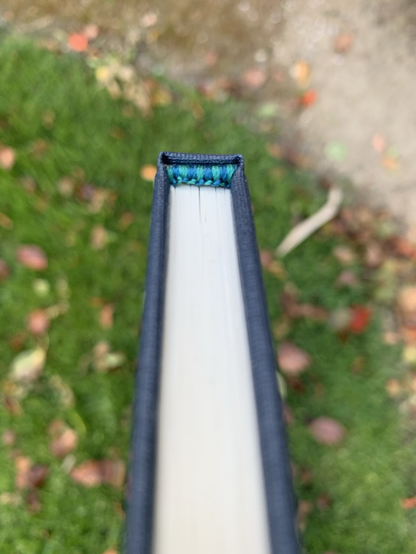 Tile edge of the book is shown. The endbands are blue and green silk sewn in a striped pattern.
