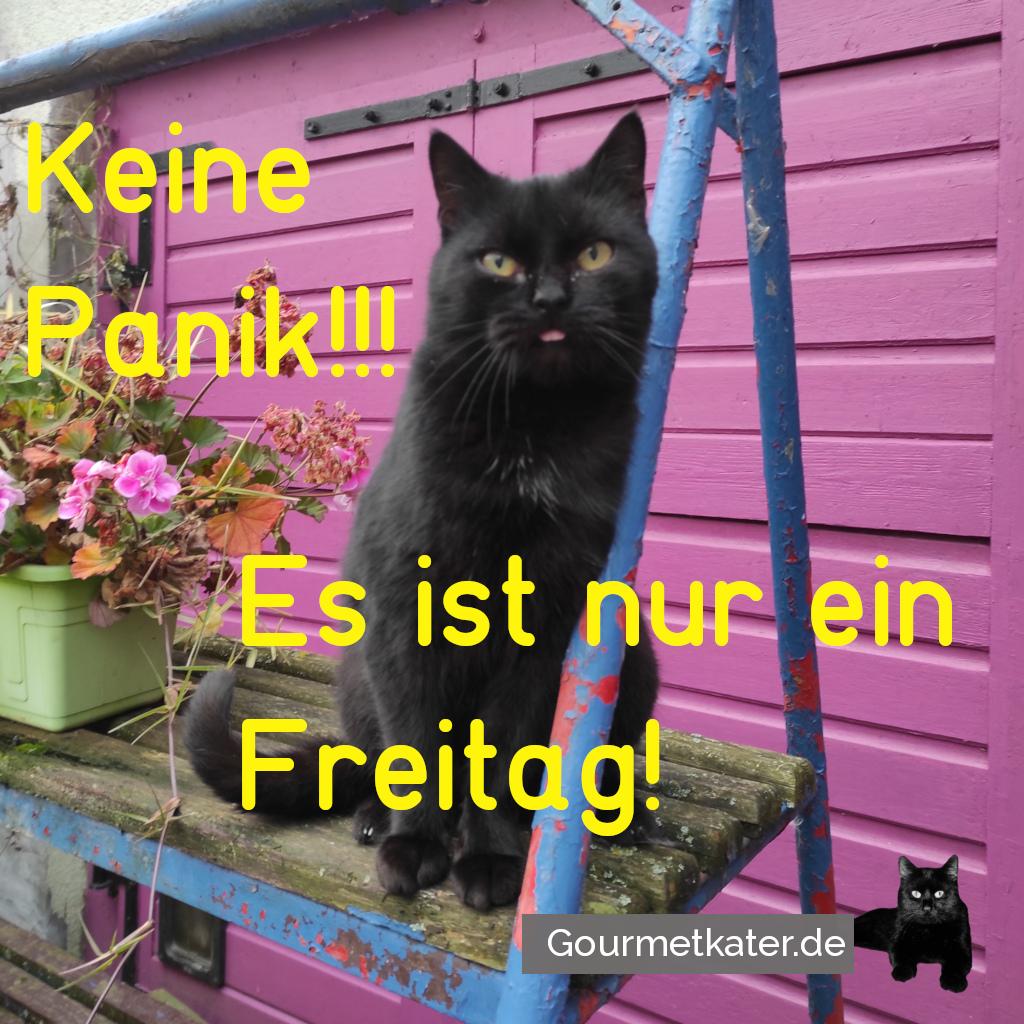 Freitag der 13te