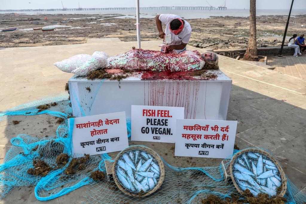 A person lies prone in a bloodied fish costume with a sign which says "Fish feel, please go vegan."