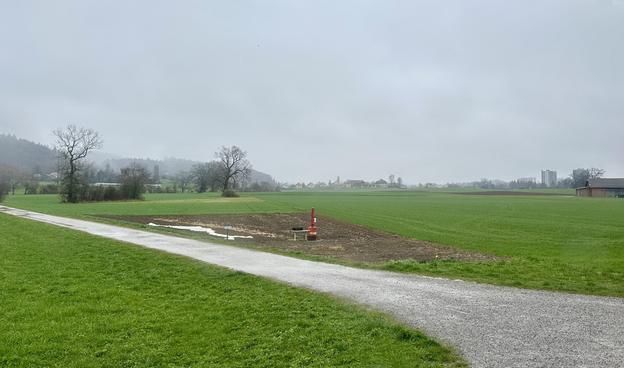 Grüne Wiesen durchzogen von einem Kiesweg. Im Hintergrund winterkahle Bäume.
Das alles unter grauem Himmel und verhangen Horizont.