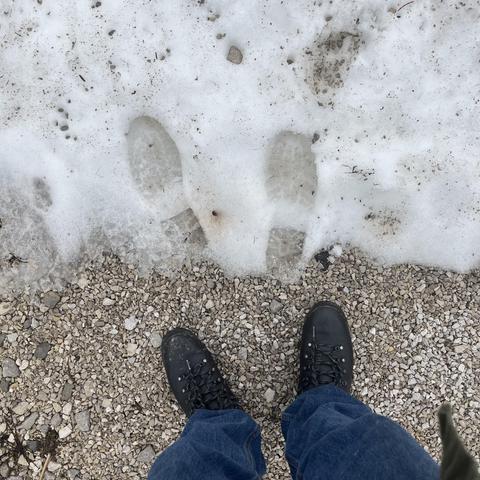 looking down at my shoes standing on the pavement and right in front of them is some slushy snow with two footprints