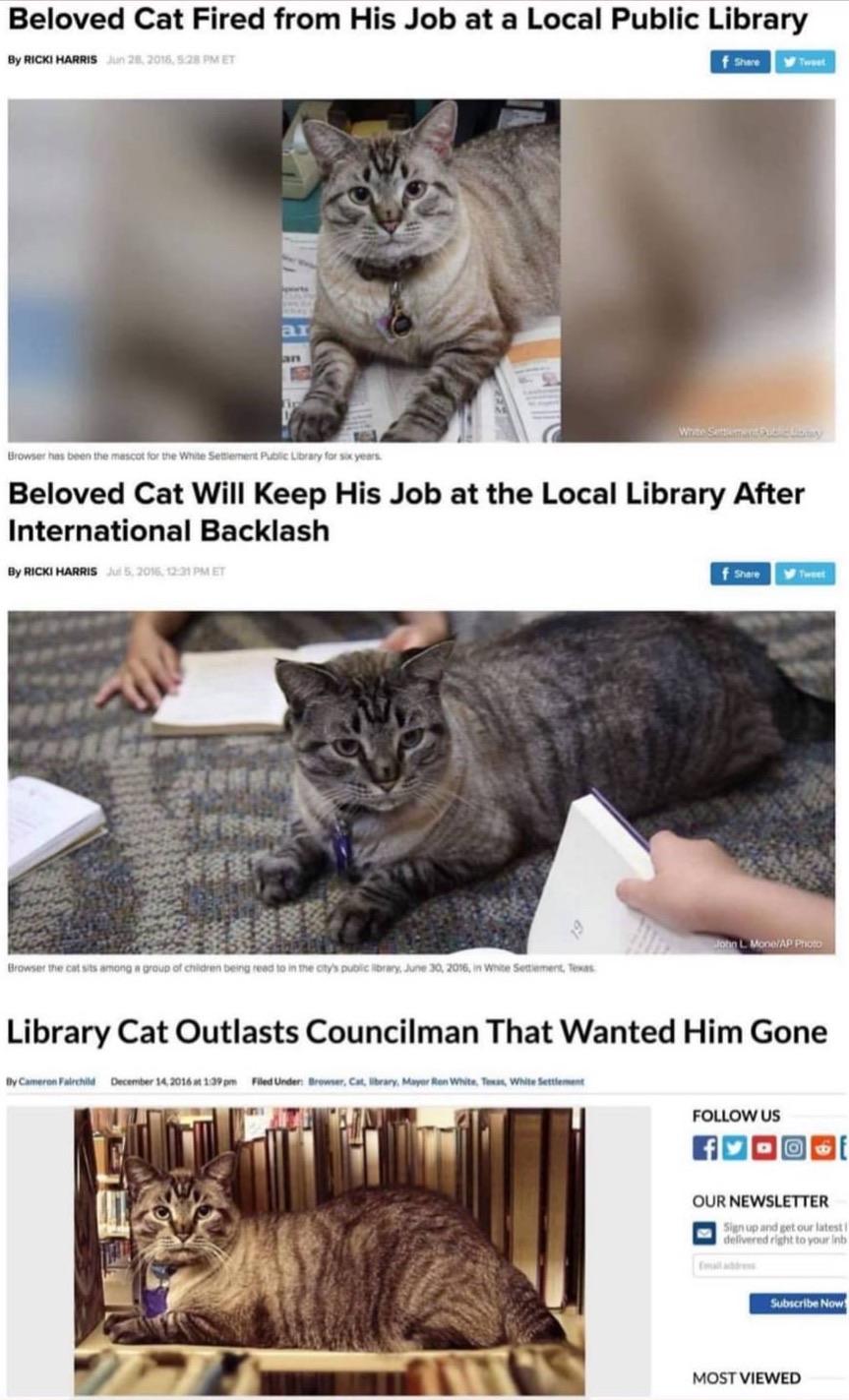 Posted media