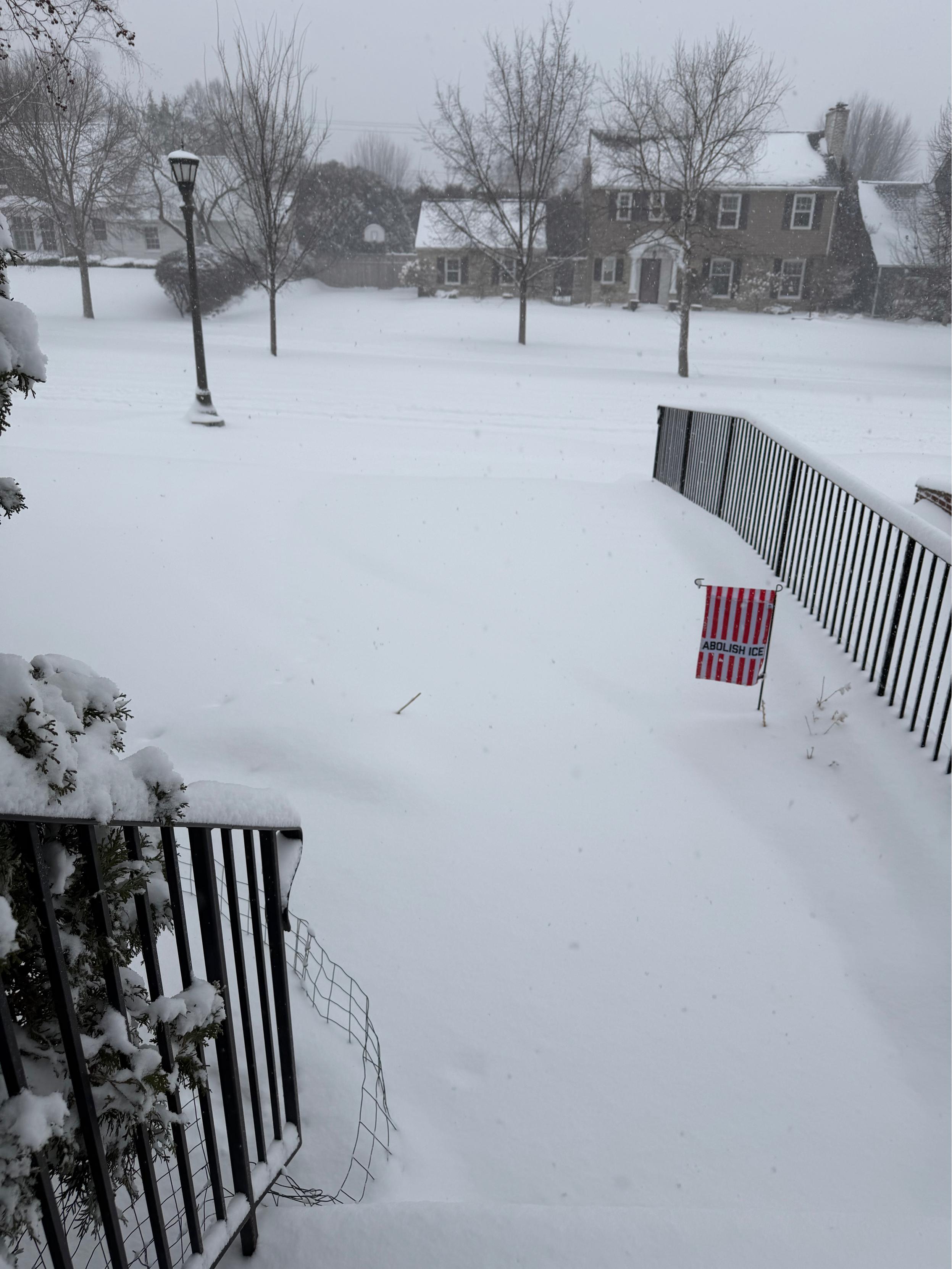 A snowy yard, the only color an “abolish ICE” flag.