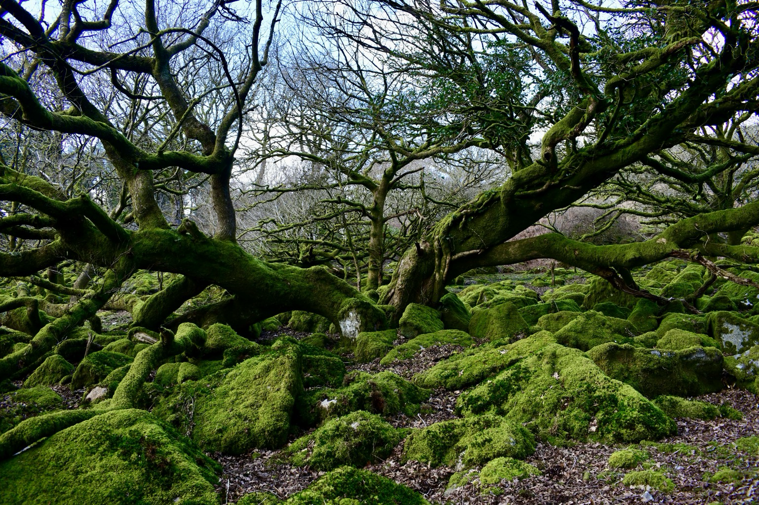 Posted media
