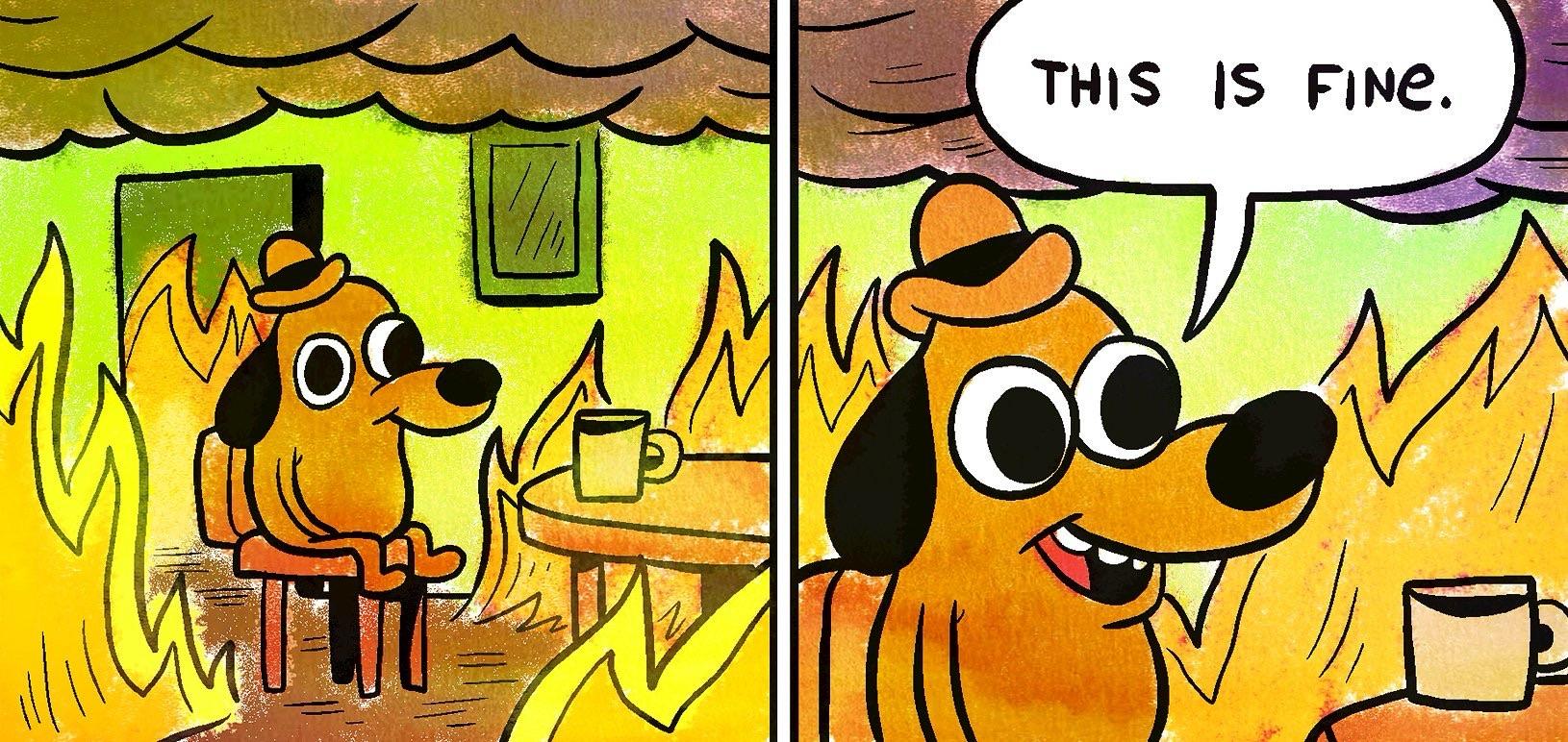 Two panel illustration: Dog with hat and coffee. Sitting in a room on fire. "This is fine"