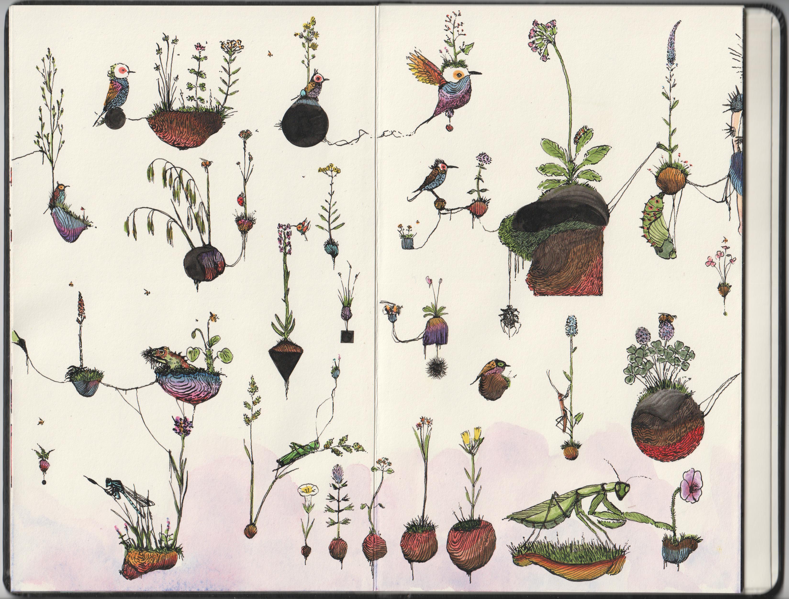 Dessin de plein de petit ilôt sur lesquels poussent des plantes et vivent des bestioles.