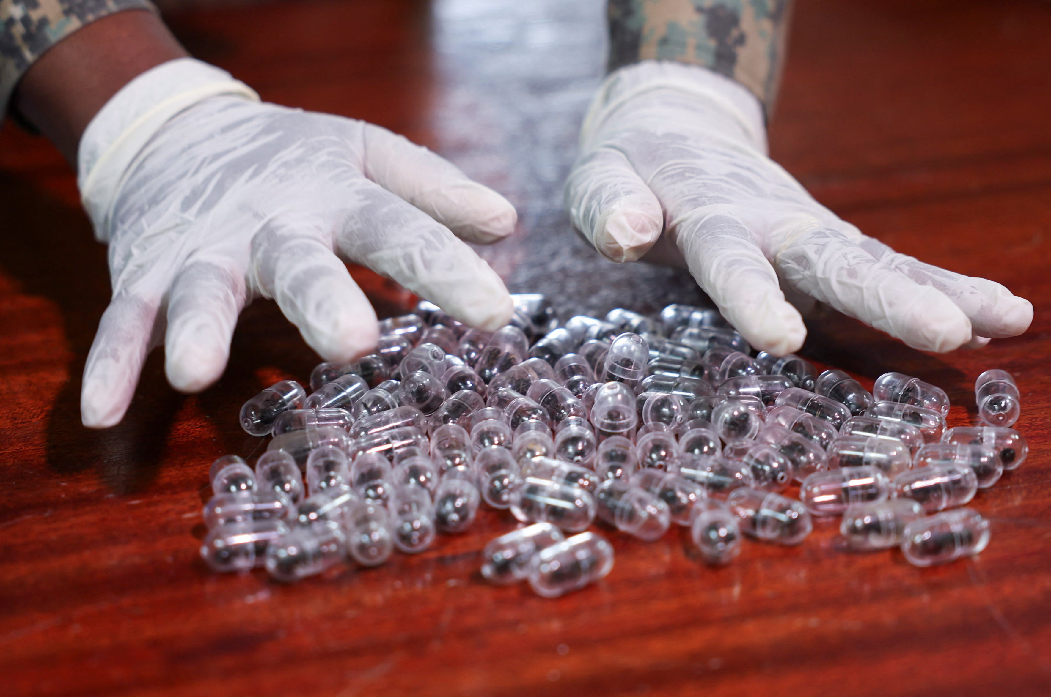 Smuggled ants in small plastic capsules.