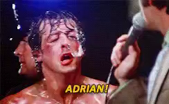 mine rocky sylvester stallone GIF