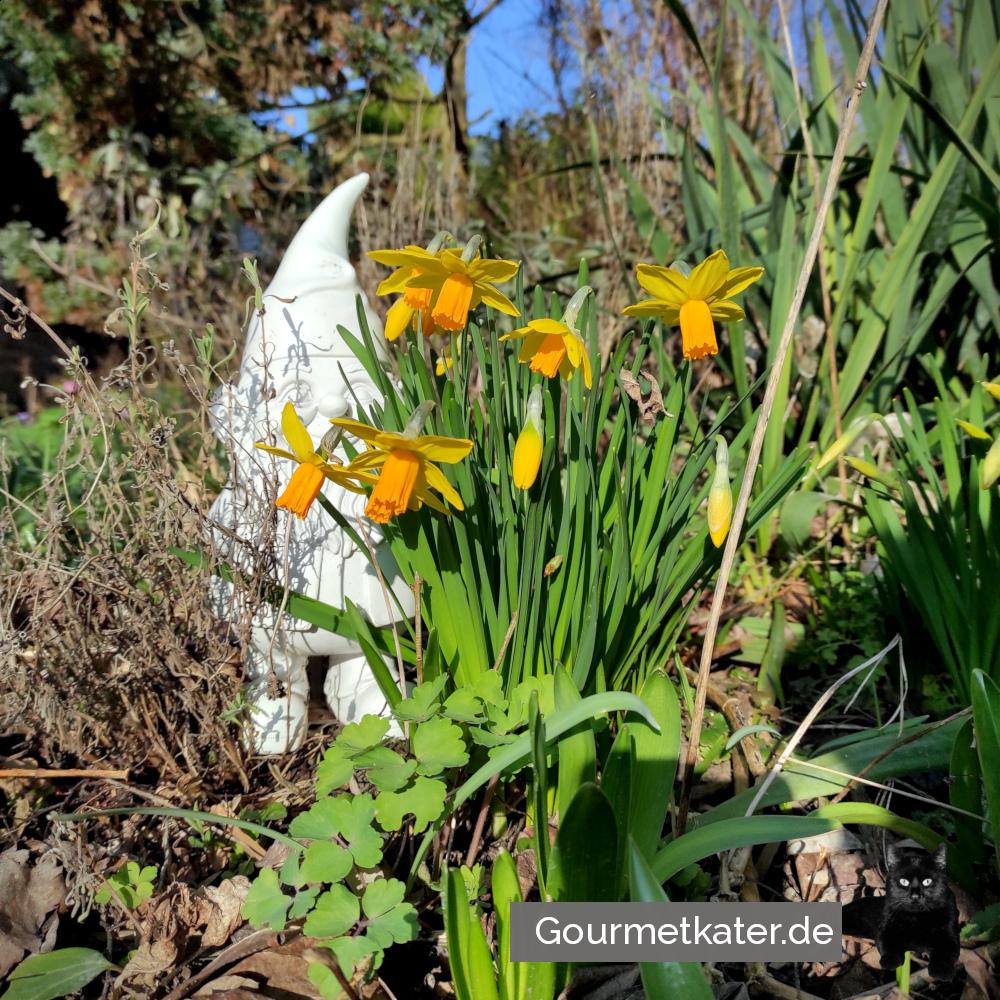 Frühling
