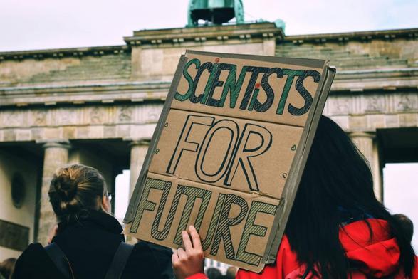 Posted media