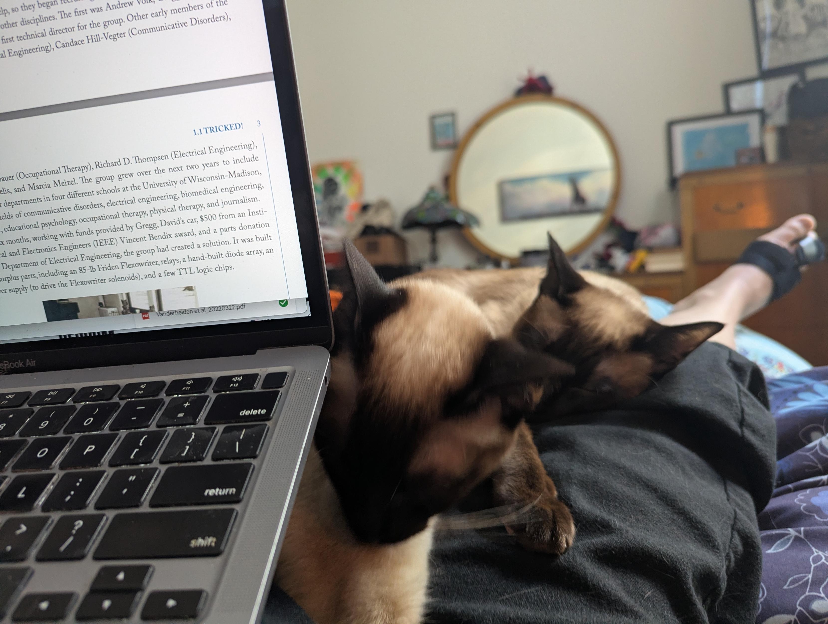 Laptop open , cats on my legs as i lie in bed