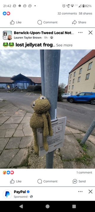 Screenshot of someone reporting to Facebook that they have found a miserable frog.