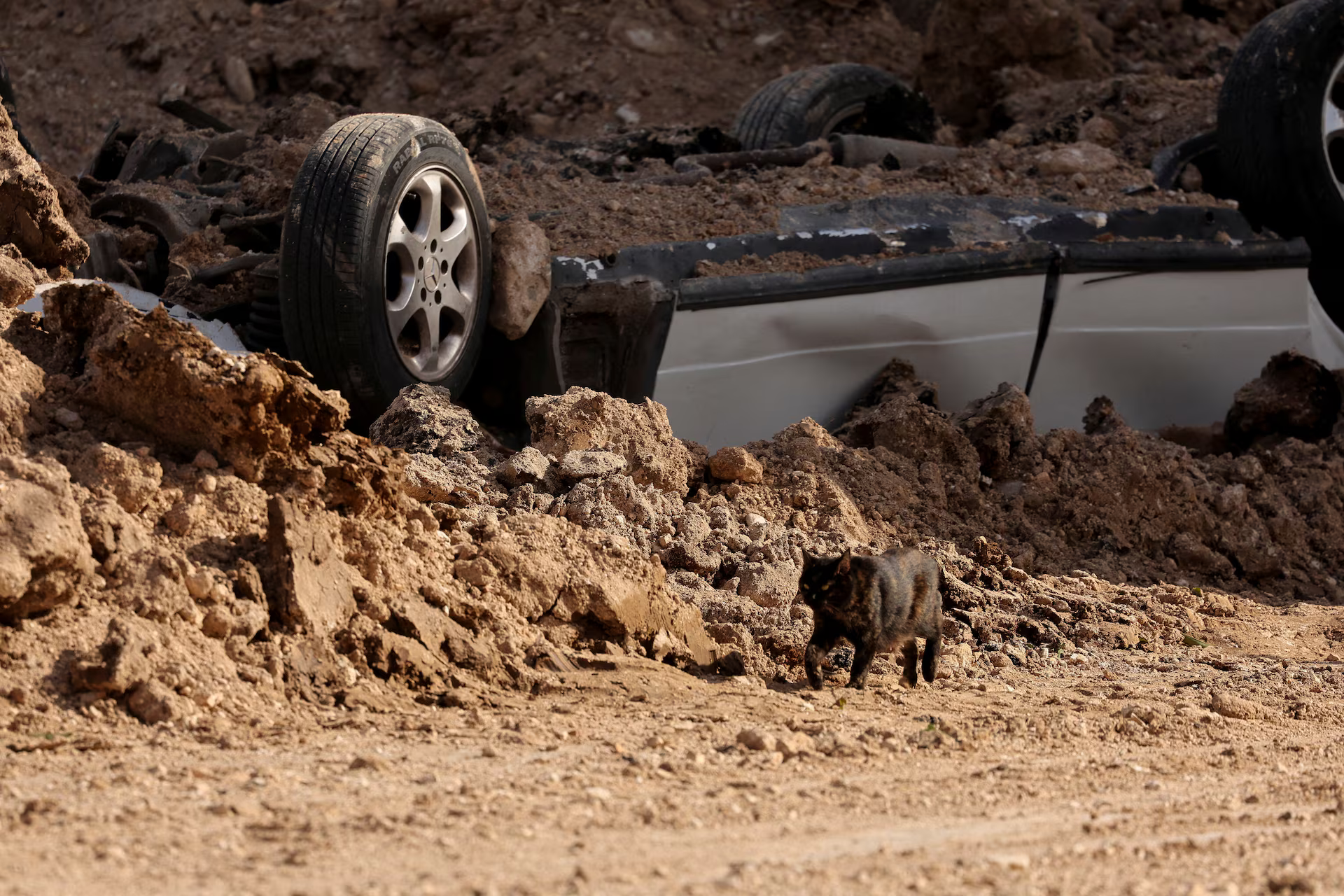 A cat passes by an upturned car lying under debris.