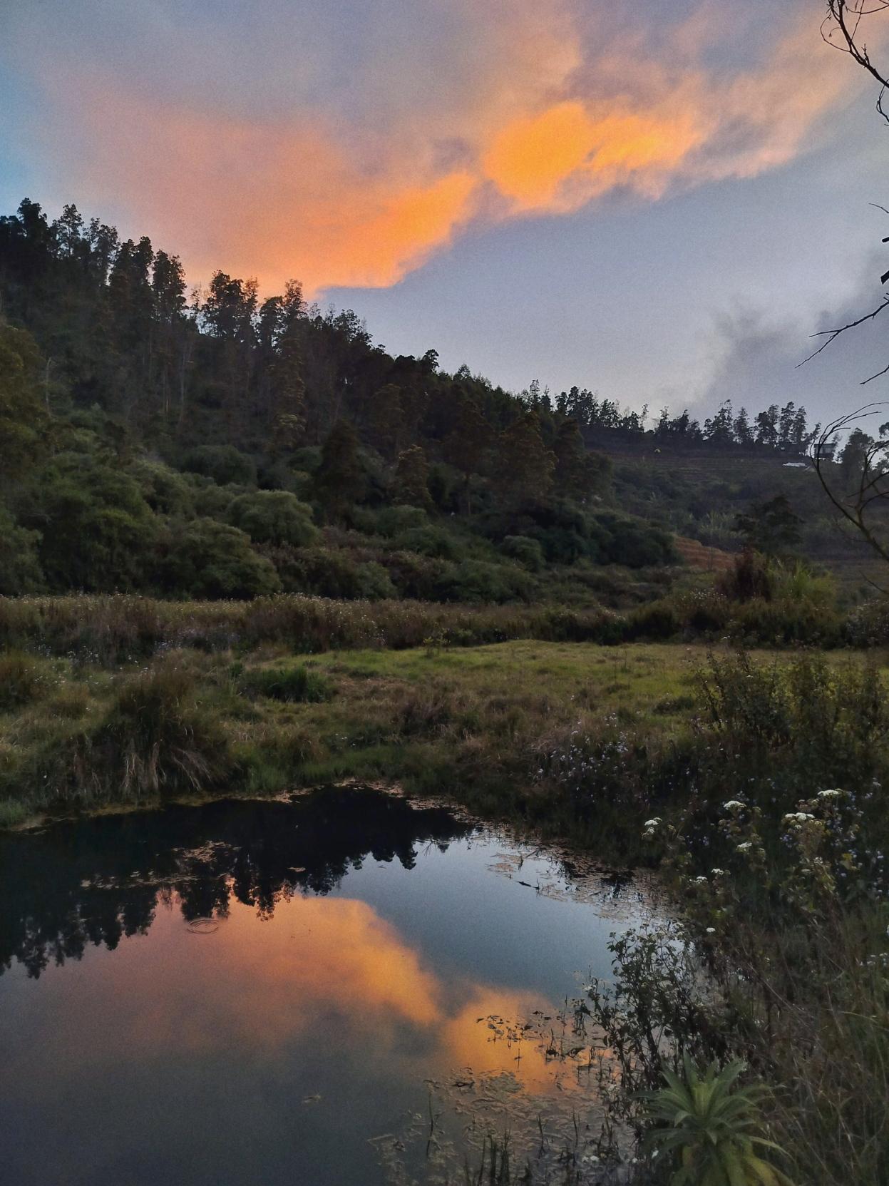Colorful sunset clouds reflected in a small pond in a grassy meadow.