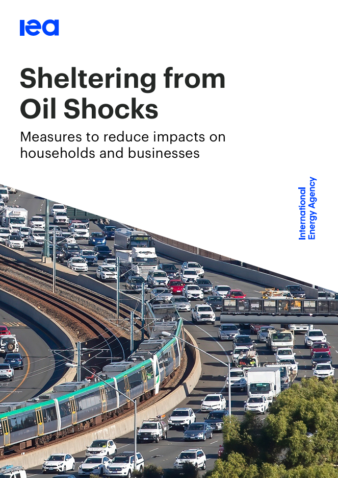 Sheltering from Oil Shocks
