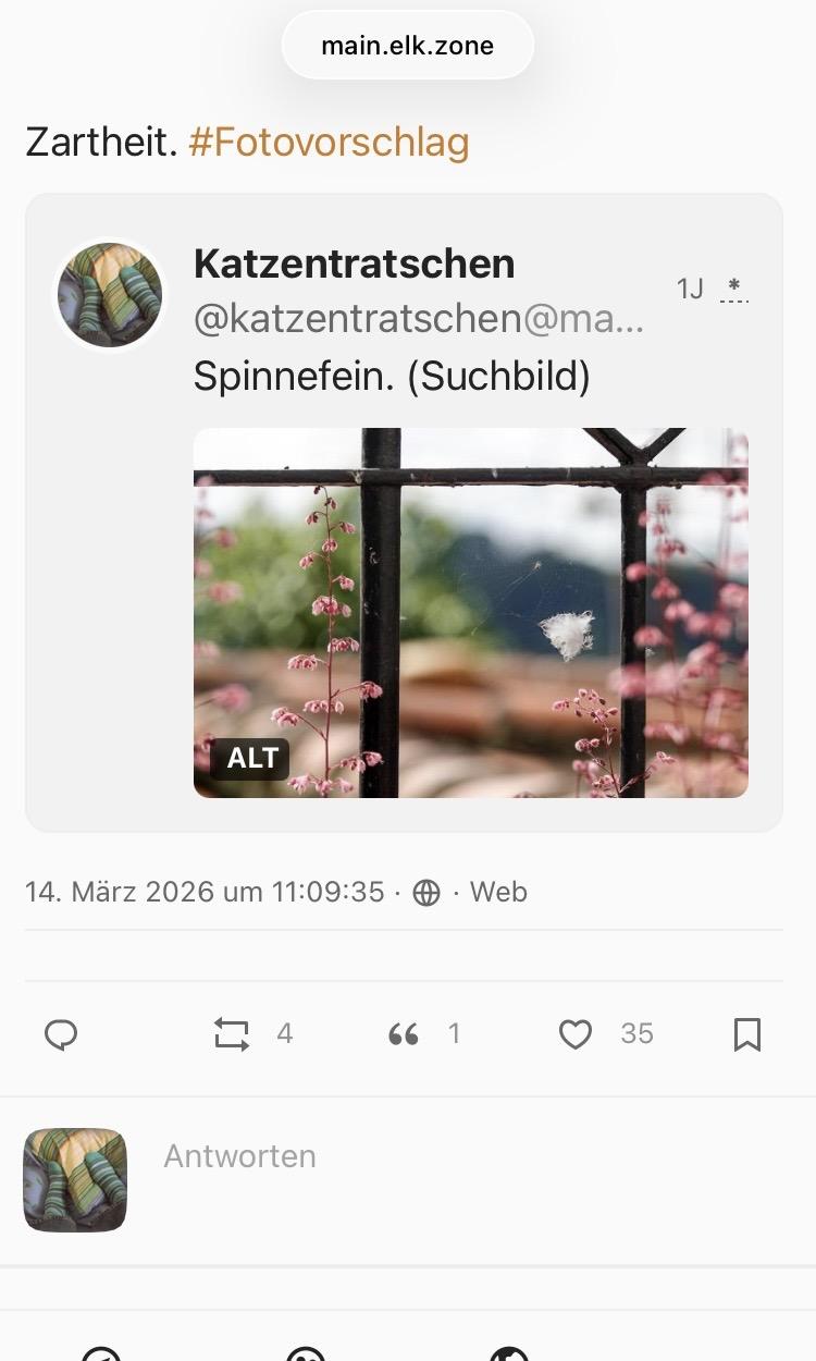 Link Preview Image