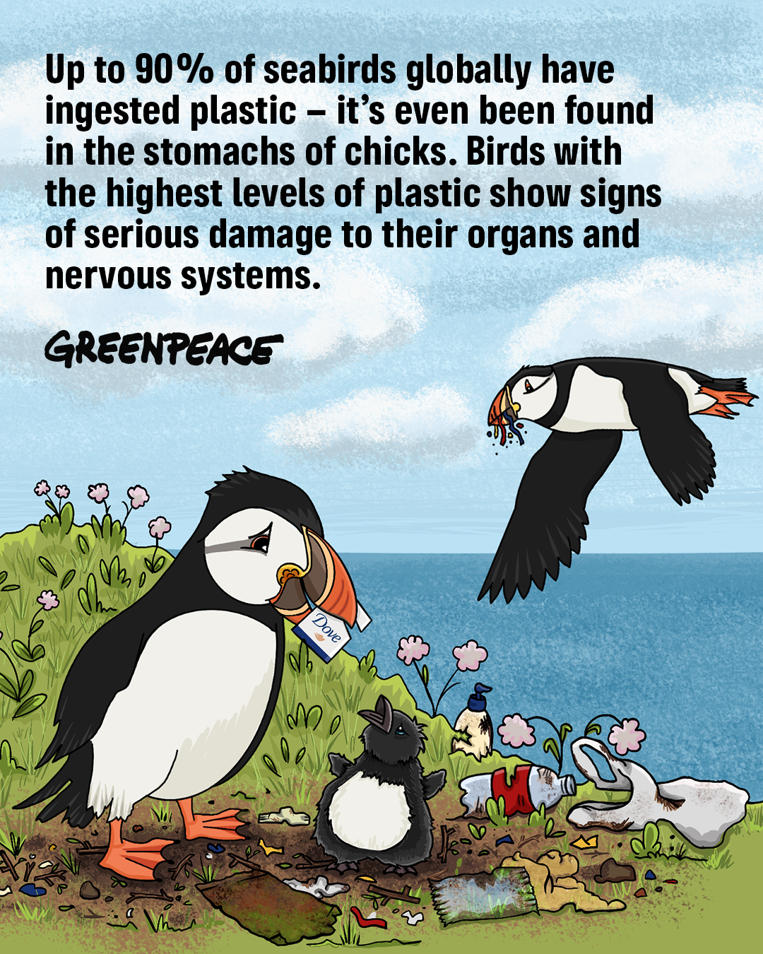 Illustration of baby puffins eating microplastics. Text reads: Up to 90% of seabirds globally have ingested plastic — it's even been found in the stomachs of chicks. Birds with the highest levels of plastic show signs of serious damage to their organs and nervous systems.