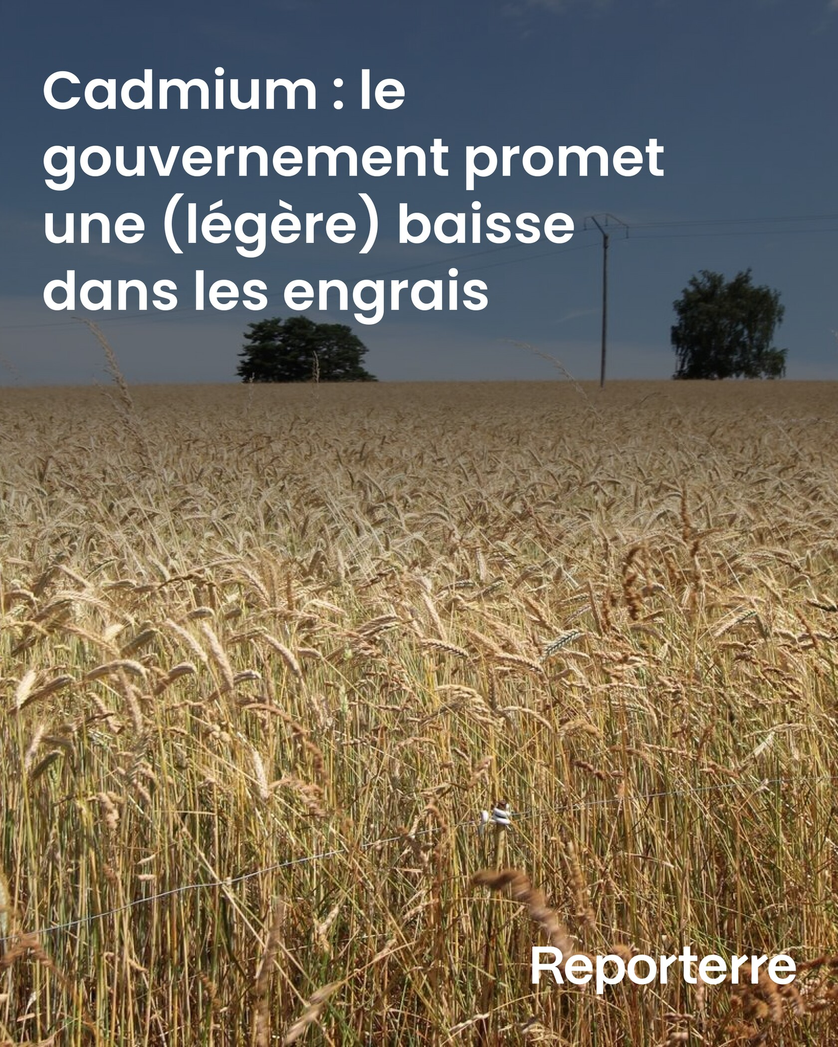 Le gouvernement prévoit d’abaisser progressivement les limites maximales de cadmium dans les engrais minéraux phosphatés. L’annonce a été faite par le ministère de l’Agriculture et relayée le 25 mars 2026, après qu’un rapport de l’Agence <br />nationale de sécurité sanitaire (Anses) a dévoilé que l’alimentation constituait la principale source d’exposition chronique et généralisée des Français à ce métal toxique, via la contamination des sols agricoles. Le gouvernement prévoit d’abaisser progressivement les limites maximales de cadmium dans les engrais minéraux phosphatés. L’annonce a été faite par le ministère de l’Agriculture et relayée le 25 mars 2026, après qu’un rapport de l’Agence <br />nationale de sécurité sanitaire (Anses) a dévoilé que l’alimentation constituait la principale source d’exposition chronique et généralisée des Français à ce métal toxique, via la contamination des sols agricoles.