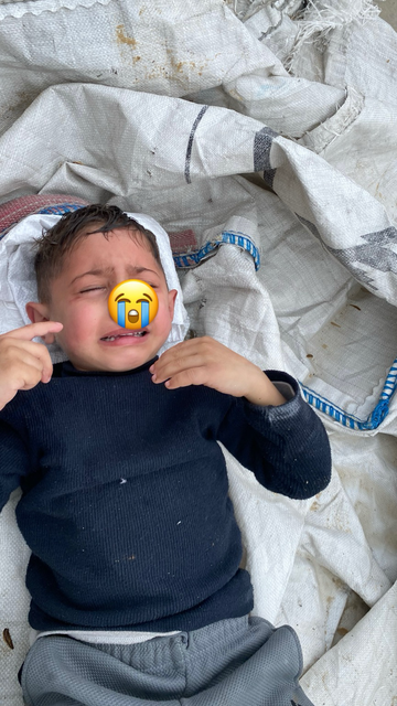 Posted media