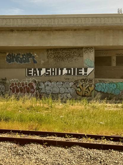 graffiti along the side of the train track that says "eat shit die".