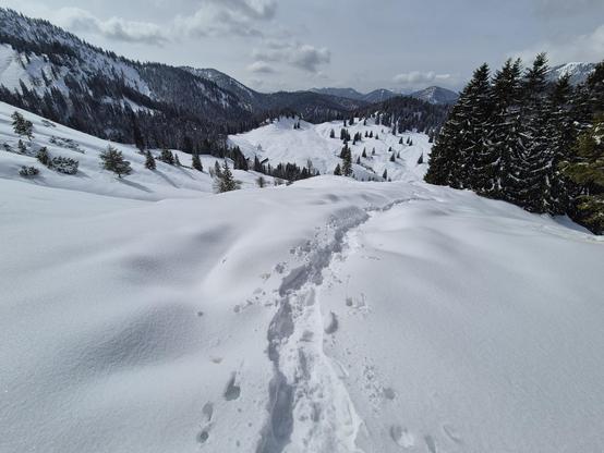 A serene and expansive winter landscape unfolds in this image, capturing the untouched beauty of a snowy mountain trail. The foreground features a pristine, snow-covered slope, its smooth surface glistening under the soft light of a cloudy sky. A trail of footprints winds its way through the snow, leading the viewer’s eye deeper into the scene and adding a sense of exploration and adventure.

Scattered across the slope are clusters of evergreen trees, their dark green foliage providing a striki…