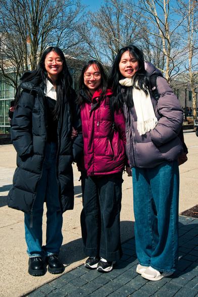 Three Chinese students wearing puffer coats and blue to dark blue pants stand on the boundary of light and dark paving with leafless trees behind them