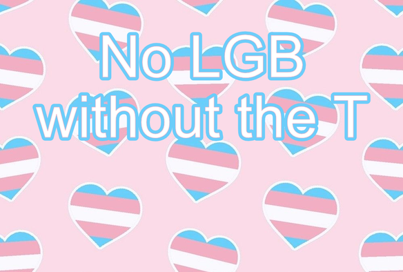 A rose-coloured background with hearts on it in the colours of the trans pride flag. "No LGB without the T" is set in white letters.
