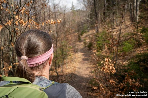 A tranquil and inviting forest scene unfolds in this image, capturing the quiet beauty of a woodland trail in late autumn or early spring. The perspective is from behind a hiker, who is looking ahead at a winding trail that disappears into the distance. The hiker is wearing a pink headband and a green backpack, suggesting readiness for an outdoor adventure.

The trail is flanked by trees, their branches mostly bare but adorned with a few lingering brown leaves, adding a touch of seasonal transi…