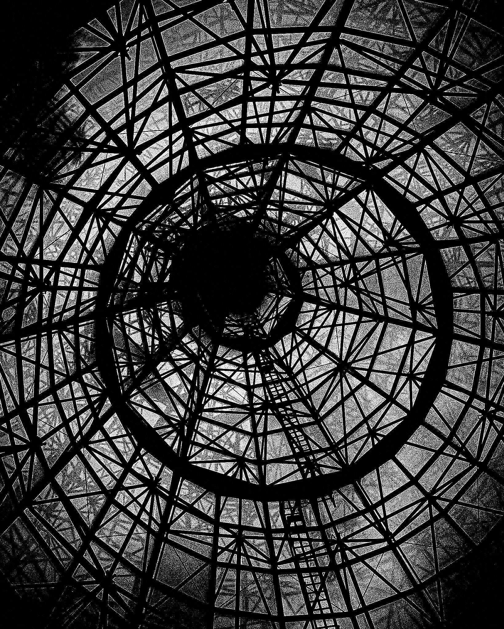 Upshot view of a circular framework of dark lines and shapes against a light background, with a central opening and radiating geometry.