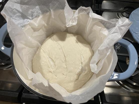 Dough in a Dutch oven.