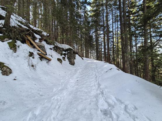 A serene and untouched winter forest scene unfolds in this image, capturing the quiet beauty of a snow-covered trail. The foreground features a narrow path blanketed in pristine white snow, winding its way through a dense forest. The snow's smooth surface is marked only by a few footprints, suggesting recent passage and adding a sense of exploration.

The trail is flanked by tall evergreen trees, their dark green foliage providing a striking contrast to the white snow. The trees stand tall and …