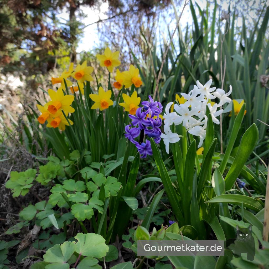 Im Garten
