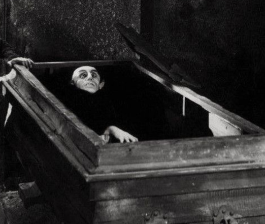 Nosferatu in a coffin