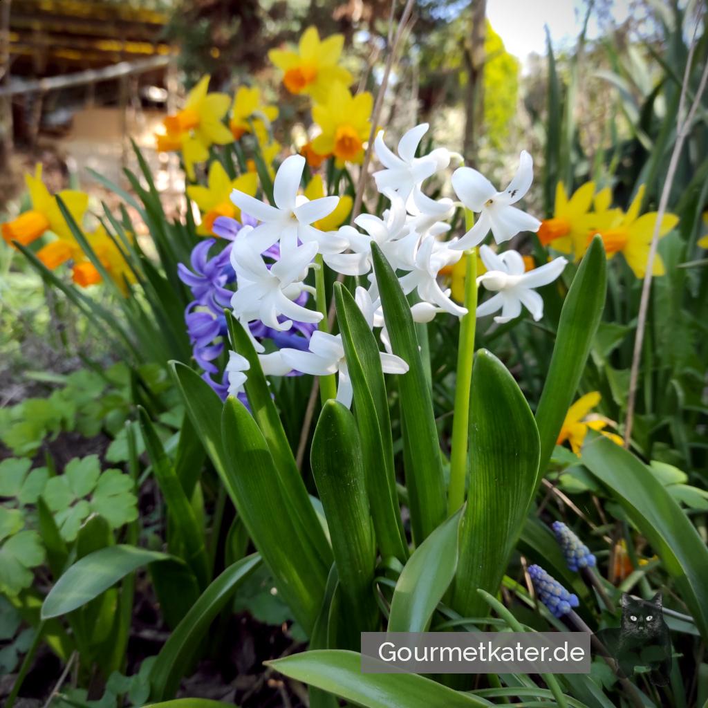 Gartenrundgang