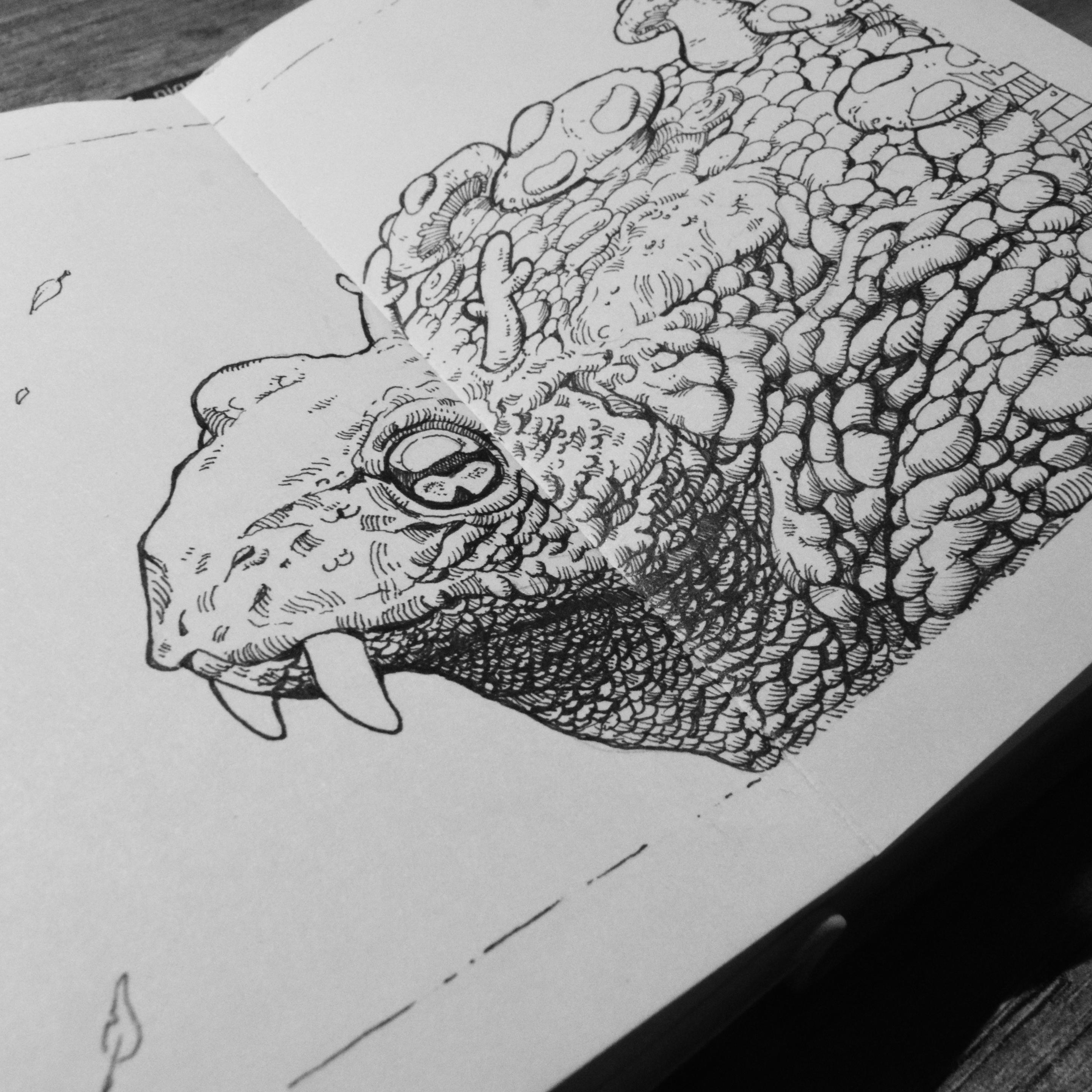 Gros plan sur un dessin dans un petit carnet d'un dinosaure imaginaire à l'aspect d'un gros crapaud avec des dents de sabre et des petites cornes mignonnes. Des champignons poussent sur son large dos
