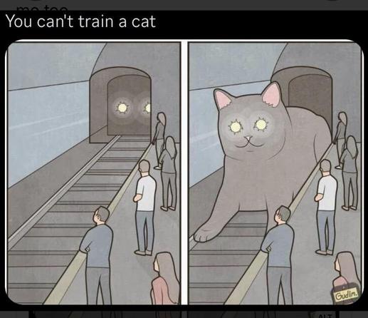 A two part meme: the left side depicts people waiting for a train to come out of the tunnel and into the station. The right reveals a cat outside of the train tunnel.