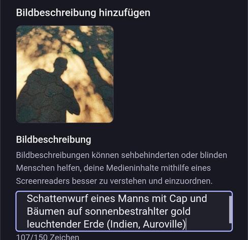 Bildbeschreibung
Bildbeschreibungen können sehbehinderten oder blinden Menschen helfen, deine Medieninhalte mithilfe eines Screenreaders besser zu verstehen und einzuordnen.
Schattenwurf eines Manns mit Cap und Bäumen auf sonnenbestrahlter gold leuchtender Erde (Indien, Auroville)