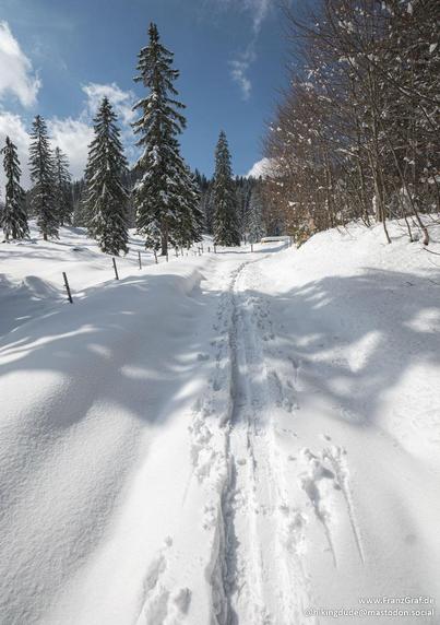 A serene and expansive winter landscape unfolds in this image, capturing the untouched beauty of a snowy forest trail. The foreground features a path blanketed in pristine white snow, winding its way through a tranquil forest. The snow's smooth surface is marked by a few footprints, suggesting recent passage and adding a sense of exploration and adventure.

The trail is flanked by tall evergreen trees, their branches heavy with snow, creating a natural corridor that adds depth and a sense of pe…