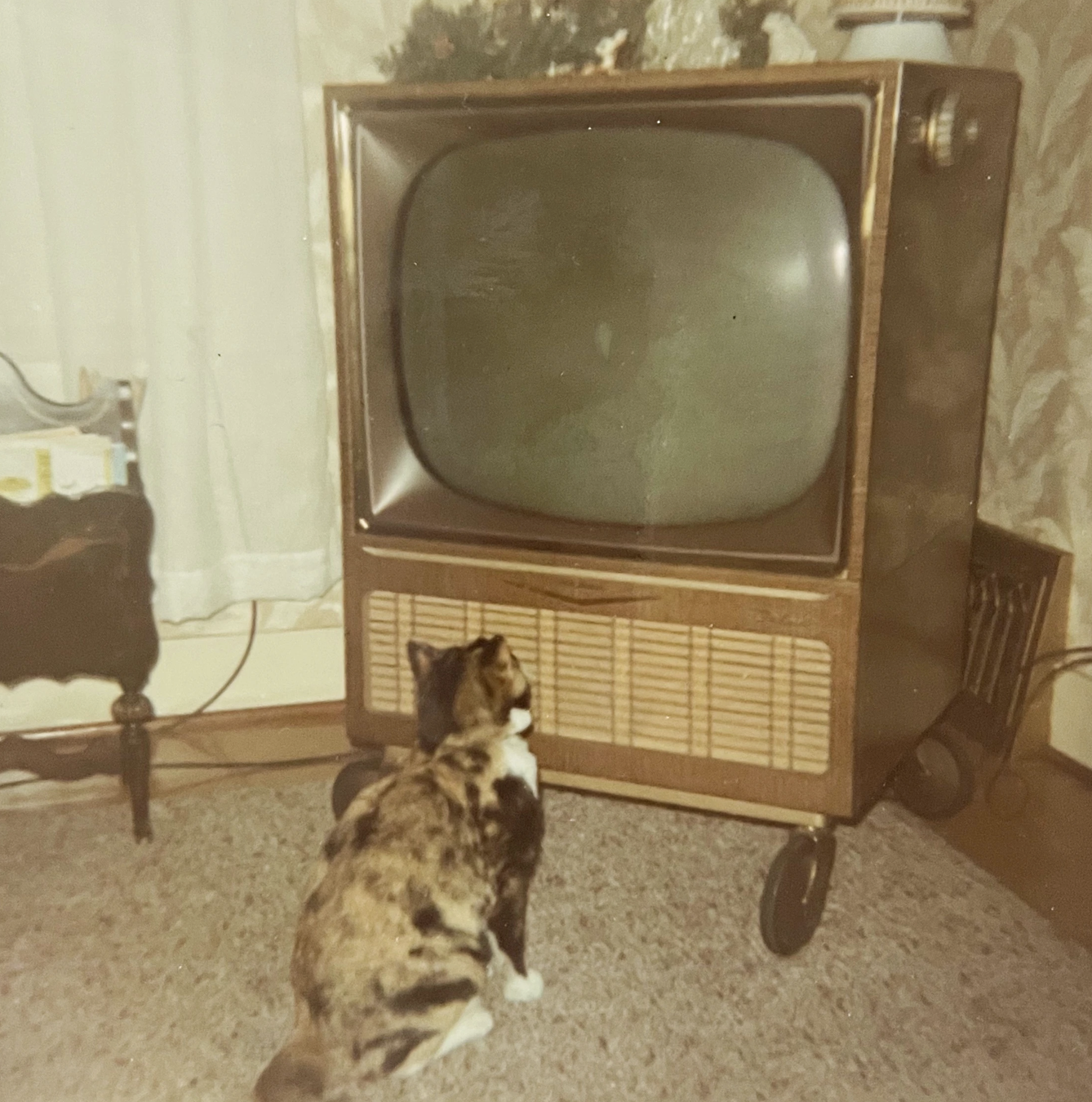 Posted media