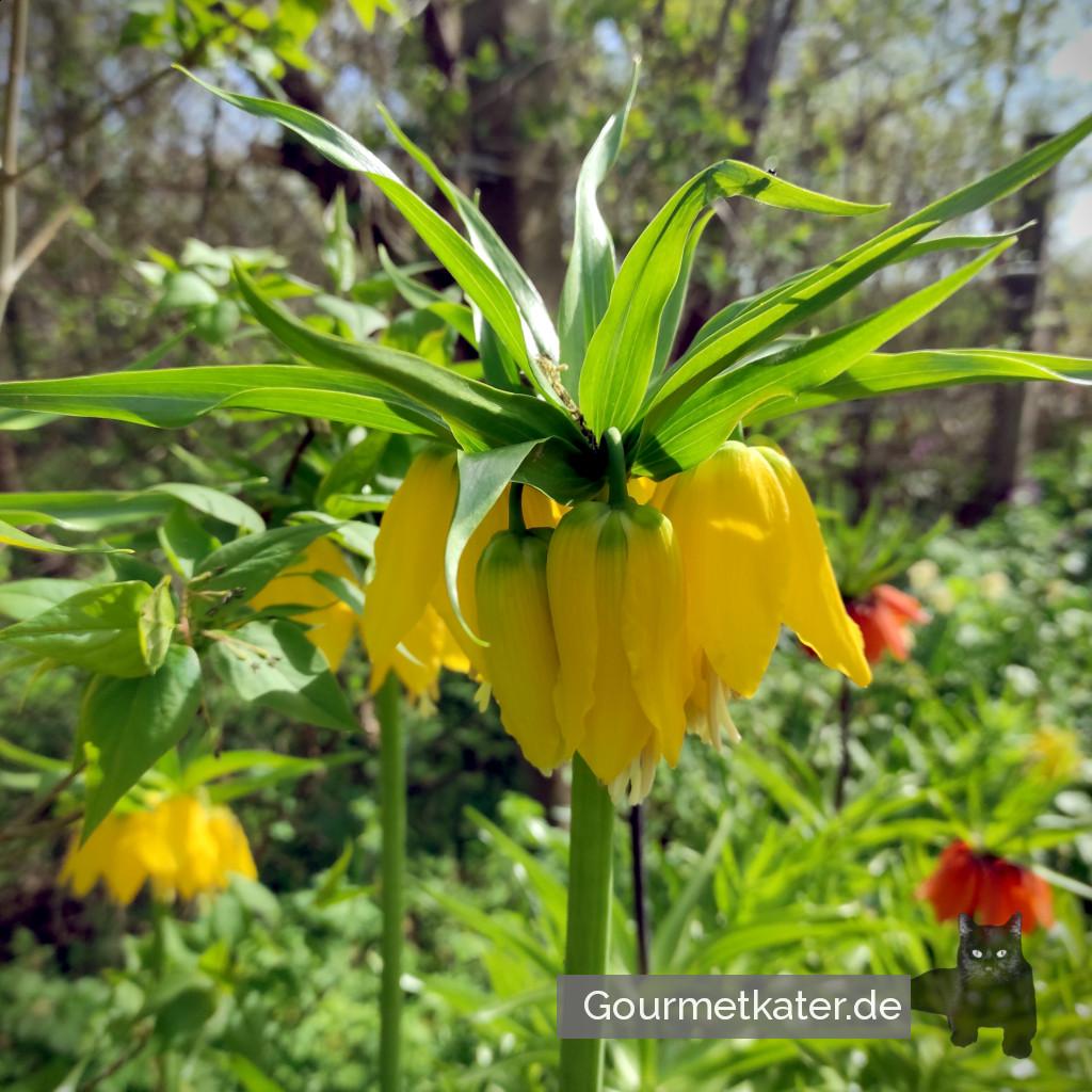 Im Garten