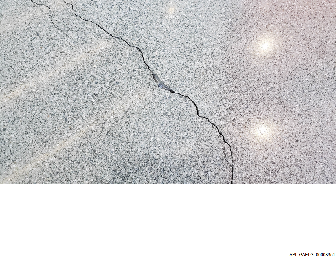 image of crack in concrete floor with discovery BATES number