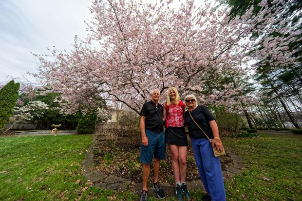 A student with a red shirt and black shorts flanked by a man on the left with a black shirt and denim shorts and a woman on the right with denim jeans -- they look small compared to a spreading cherry tree on a broad looking lawn
