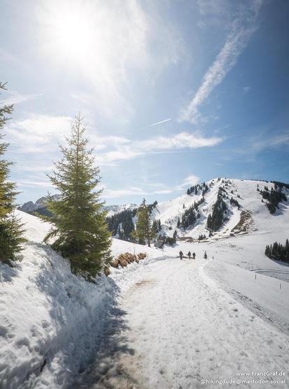 A breathtaking alpine scene unfolds in this image, capturing the stunning beauty of a snowy mountain landscape under a clear blue sky. The foreground features a snow-covered path, partially cleared and bordered by high snowbanks, inviting exploration and adventure. The path is flanked by evergreen trees, their branches dusted with snow, adding a touch of natural beauty and depth to the scene.

In the mid-ground, a group of hikers can be seen making their way along the path, adding a sense of sc…