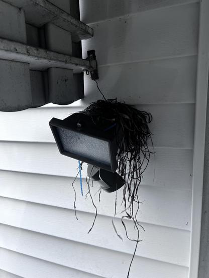 Picture of bedraggled strands of grass and stuff on top of the light outside our kitchen (main) door. 8 inches away from our door and a TERRIBLE place for a nest.
NOT PICTURED: the pile on the ground where 90% of the stuff fell.