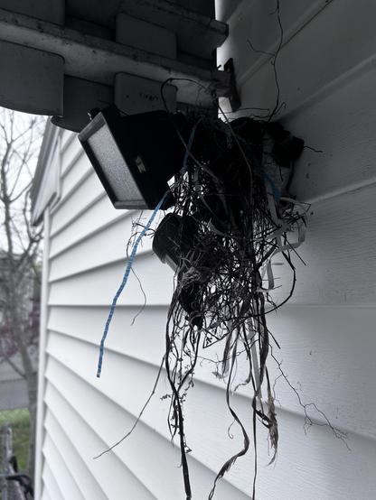 Same light, next day, more crap, stupid Robin.