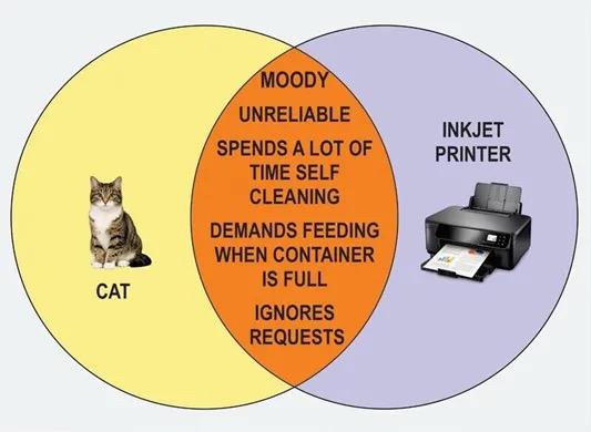 CAT picture on one side of Venn diagrm MOODY UNRELIABLE SPENDS A LOT OF TIME SELF CLEANING DEMANDS FEEDING WHEN CONTAINER IS FULL IGNORES REQUESTS  INKJET PRINTER on other side of Venn diagram 