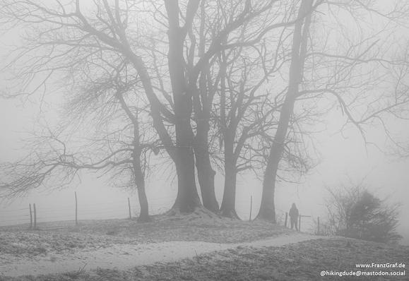 A misty scene with a couple of trees in th midground.
A sole person standing next to a tree on a path the leads into the front left pf the scene.
